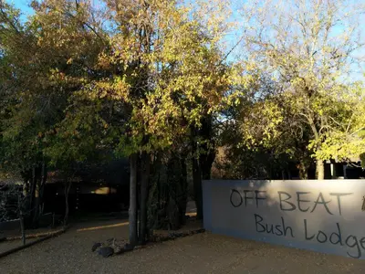 a sign that reads off beat bbush lodges next to trees at Off Beat Safaris Bush Lodge in Hoedspruit