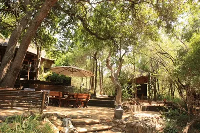 a patio with benches and a table and an umbrella at Off Beat Safaris Bush Lodge in Hoedspruit