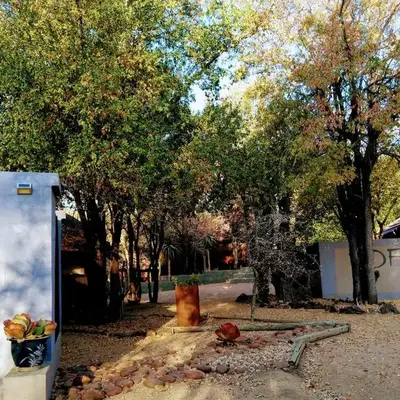 Off Beat Safaris Bush Lodge