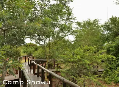 a wooden bridge in the middle of a forest at Shishangeni Lodge In Kruger National Park in Komatipoort