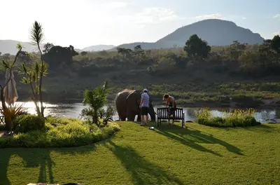 a couple of people standing next to an elephant at Khandizwe Kruger Villa in Malelane