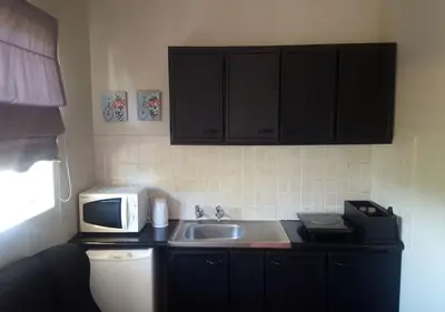 a kitchen with a sink and a microwave at Tzaneen Arborpark Lodge in Tzaneen