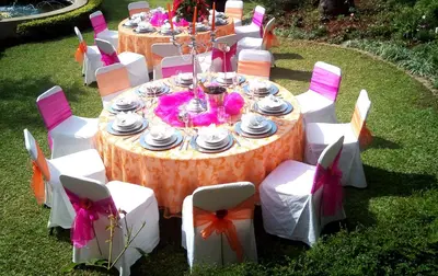 a long table with white chairs and tables with cakes at Tzaneen Arborpark Lodge in Tzaneen