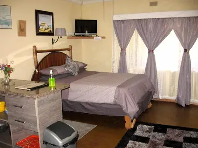 a bedroom with a bed and a desk at The Shoe Guest House in Draasloot