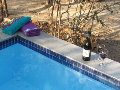 a bottle of wine and two glasses of wine at Villa de Leeu, Perfect for Two in Marloth Park