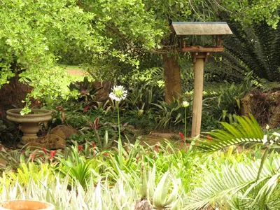 a garden with a bird house and plants at Kiaat Bungalows in Hazyview