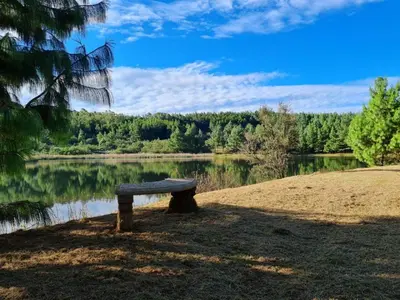 a bench sitting in front of a lake at Ukutula Resort in Dullstroom