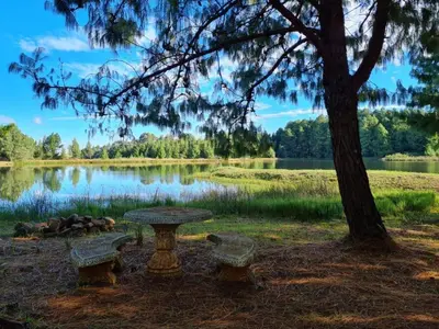 a picnic table and two benches in front of a lake at Ukutula Resort in Dullstroom