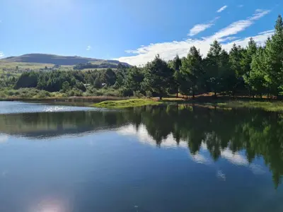 a large body of water with trees in the background at Ukutula Resort in Dullstroom