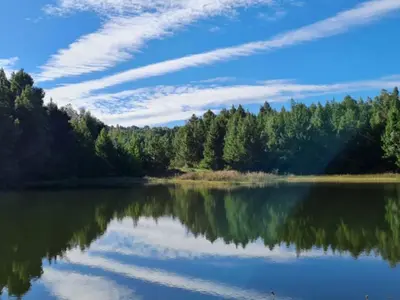 a view of a lake with trees in the background at Ukutula Resort in Dullstroom