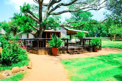 a house with a tree and a patio at Harnham Mountain Lodge in Louis Trichardt