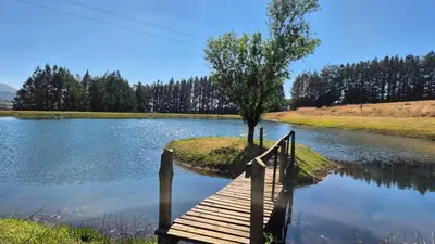 a tree on a small island in the middle of a lake at Apple Blossom Cottage in Dullstroom