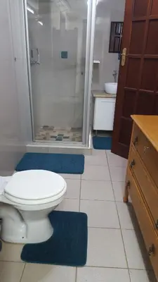 a bathroom with a toilet and a shower with blue mats at Julie's B&B in White River
