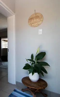 a plant in a white vase sitting on a table at Nita's Air Bed & Breakfast & self catering in Crocodile Valley Estates