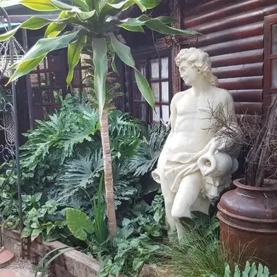 Atlantis Dreams