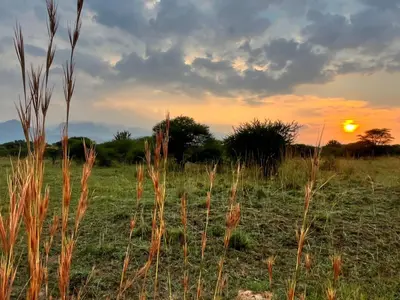 a field of grass with the sunset in the background at Vanross Self Catering Accommodation in Thabazimbi