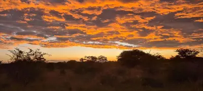 a sunset over a field with trees and clouds at Vanross Self Catering Accommodation in Thabazimbi