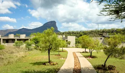 a path with trees and a mountain in the background at Sofala Lodge in Mokopane