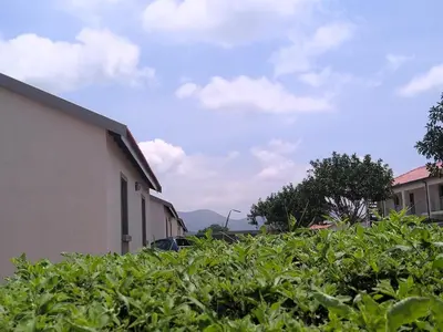 a hedge in front of a building with mountains in the background at Thomsons Lodge in Polokwane