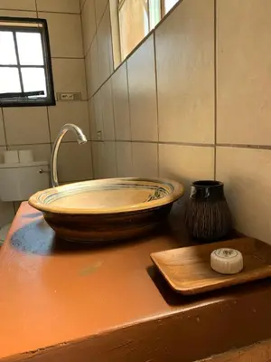 a bathroom sink with a bowl on top of a counter at iMbamuweti Cottage in Grietjie Nature Reserve