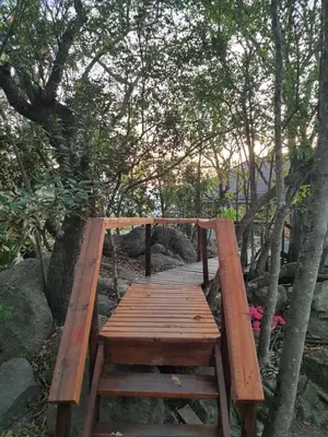 a wooden bridge in the middle of a forest at Bikkurim Inn in Nelspruit