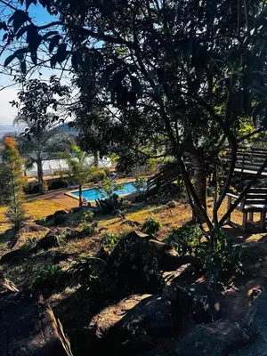a tree and some rocks and a swimming pool at Banabaka spa and venue in White River