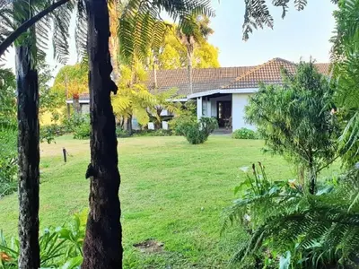 a house in the middle of a yard with trees at Paradise View Guesthouse in Graskop
