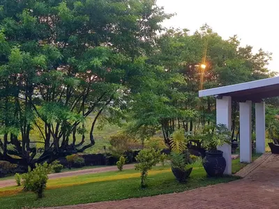 a view of a garden with trees and a building at Paradise View Guesthouse in Graskop