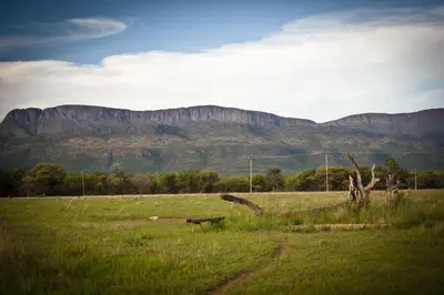 a grass field with a mountain in the background at Boschfontein Guest Farm in Thabazimbi