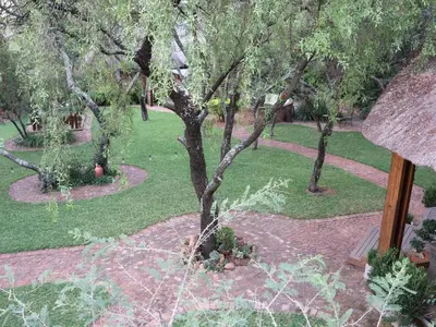a garden with a tree in the middle of a yard at Monkey Thorn in Roodeplaat