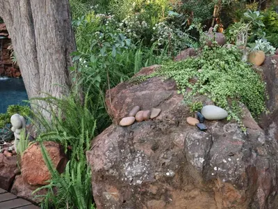 a rock garden with rocks and plants on it at Monkey Thorn in Roodeplaat