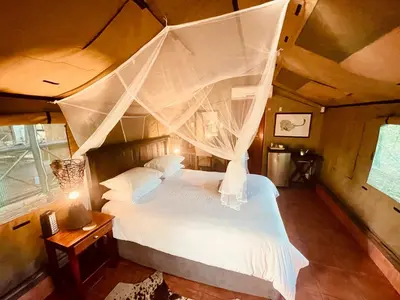 a bedroom with a white bed with a canopy at Nyala Luxury Safari Tents in Marloth Park