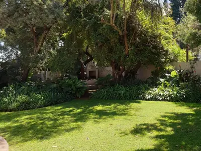 a yard with trees and a lawn with grass at Studio's@360onChurch in Pretoria