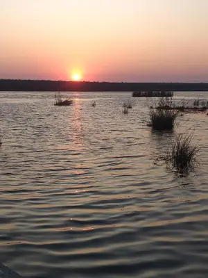 a sunset on a lake with grass in the water at Bushveld Magic in Klipdrift