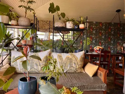 a room with a couch and a bunch of potted plants at A Bird Cage Stay & Cottage in Haenertsburg