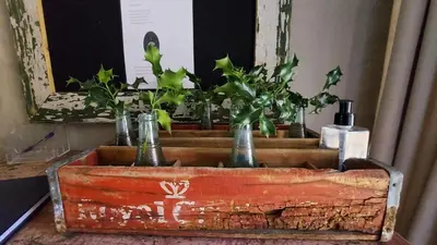 a wooden box with several plants in it at Lake House in Dullstroom