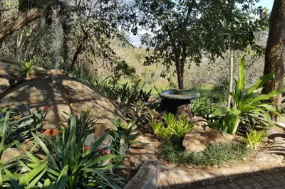 a garden with a bird bath and some plants at InnibosRus Self-catering in White River