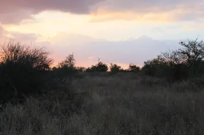 a field of grass with a sunset in the background at Pan's Breeze Overnight Accommodation in Dalmada AH