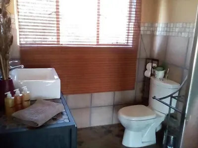a bathroom with a white toilet and a sink at Nyani Lodge Dinokeng in Pretoria