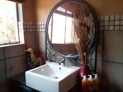a bathroom with a sink and a mirror at Nyani Lodge Dinokeng in Pretoria