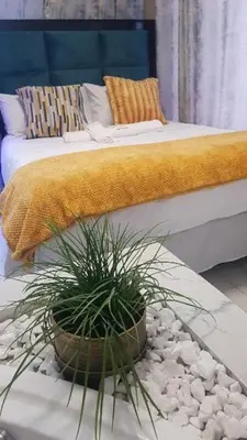 a bedroom with a bed and a potted plant at Ko-Porch luxury guest house in Polokwane