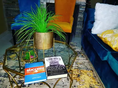 a living room with a table with a plant on it at Ko-Porch luxury guest house in Polokwane