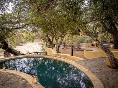 a swimming pool in a garden with trees at Shimungwe Lodge, Thornybush Game Reserve in Hoedspruit
