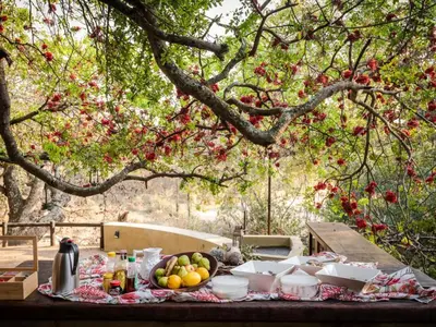 a picnic table with fruit on it under a tree at Shimungwe Lodge, Thornybush Game Reserve in Hoedspruit