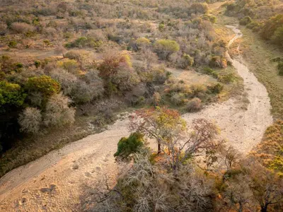 an aerial view of a dirt road in a forest at Shimungwe Lodge, Thornybush Game Reserve in Hoedspruit