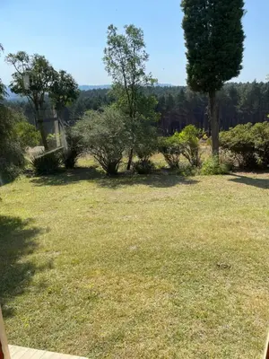 a field of grass with trees in the background at Enon in Haenertsburg