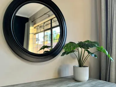 a plant sitting on a table in front of a mirror at Oost Street in Polokwane