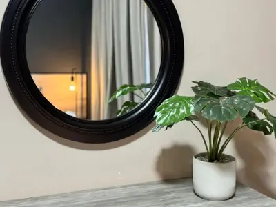 a plant sitting on a table in front of a mirror at Oost Street in Polokwane