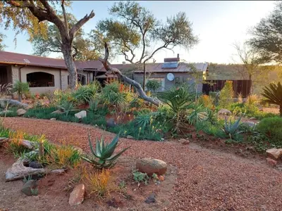 a garden with plants in front of a house at Phomola Manor Holiday Home in Phalaborwa
