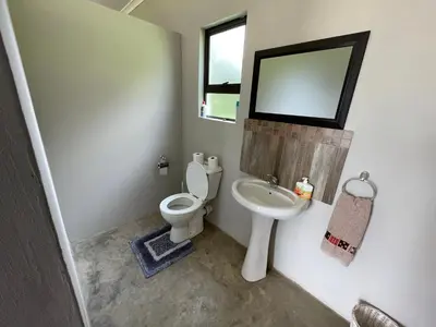 a bathroom with a toilet and a sink and a mirror at Holbank River Lodge in Ermelo